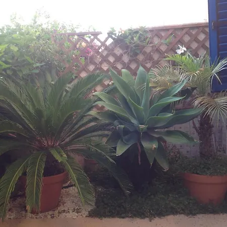 Kings Apartment With Private Garden Paphos Exterior photo